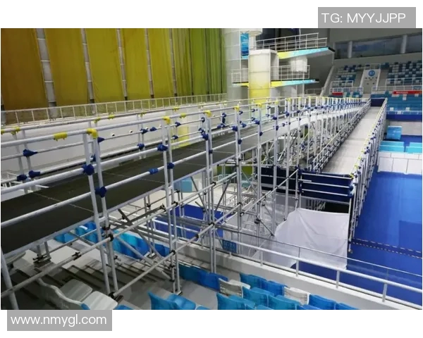 最新体育动态：从球场到更衣室全了解