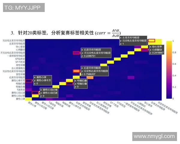 F1赛车燃料策略对比赛成绩的影响及优化分析